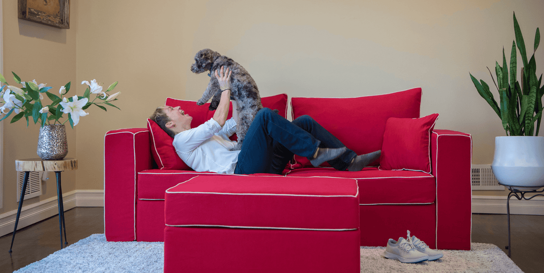 How to Make your Living Room Cozy and Inviting - Elephant in a box